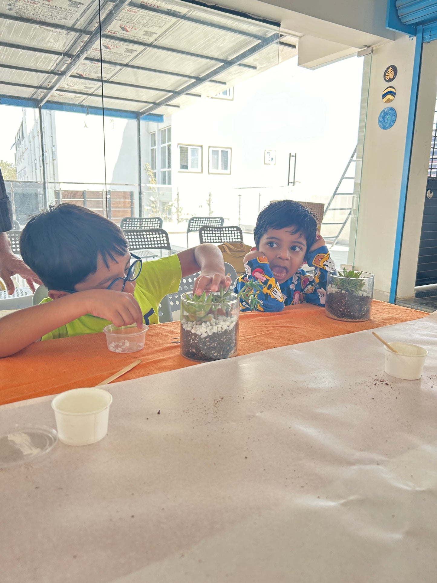 Kids Party - Terrarium making Workshop for Kids