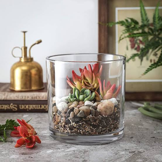 Kids Party - Terrarium making Workshop for Kids